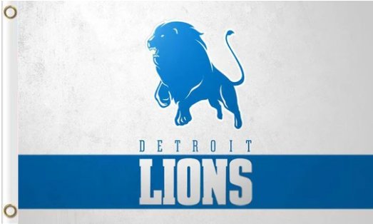 Detroit Lions Team White Flag 3X5 Ft Polyester Banner USA 90x150cm