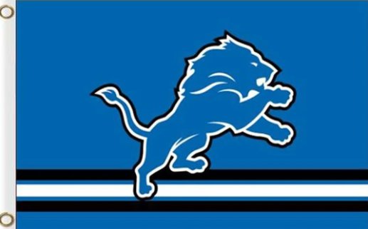 Detroit Lions Three Lines Flag 3X5 Ft Polyester Banner USA 90x150cm