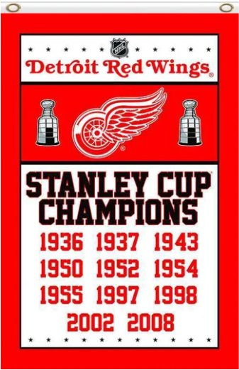 Detroit Red Wings Champions Flag 3X5Ft Polyester Digital Print Banner USA