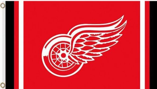 Detroit Red Wings Custom Flag 3X5Ft Polyester Digital Print Banner USA