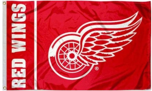 Detroit Red Wings Flag National Hockey 3X5Ft Polyester Digital Print Banner USA