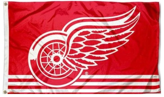 Detroit Red Wings Flag National Hockey League US 3X5Ft Polyester Digital Print Banner USA