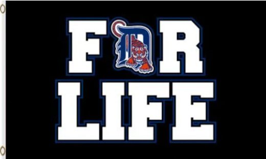 Detroit Tigers For Life Flag 3X5Ft Banner USA Polyester with Brass Grommets