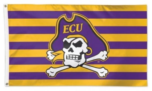 East Carolina Pirates America Flag 3X5ft Banner USA Polyester with 2 Brass Grommets