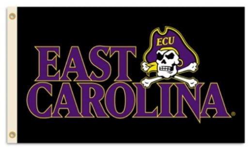 East Carolina Pirates Black Flag 3X5ft Banner USA Polyester with 2 Brass Grommets