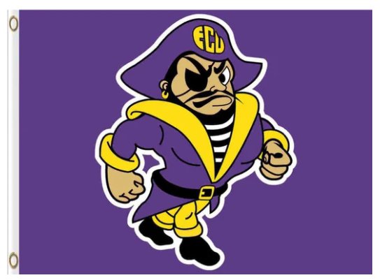 East Carolina Pirates Club Basketball USA Flag 3X5ft Banner USA Polyester with 2 Brass Grommets