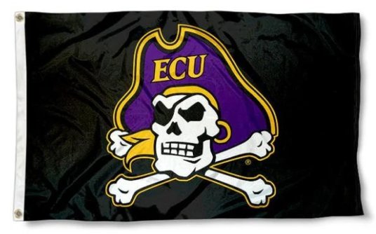 East Carolina Pirates Club Flag 3X5 Banner USA Polyester with 2 Brass Grommets