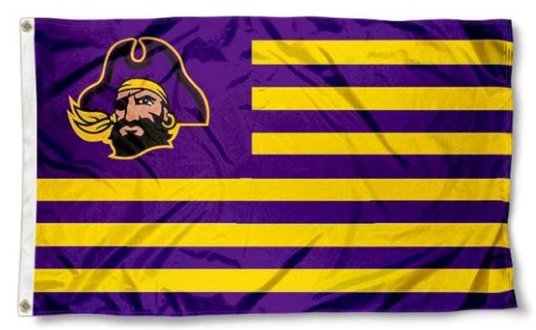 East Carolina Pirates Club Flag 3X5ft Banner USA Polyester with 2 Brass Grommets
