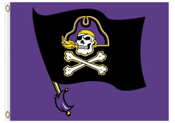 East Carolina Pirates Club USA Flag 3X5ft Banner USA Polyester with 2 Brass Grommets