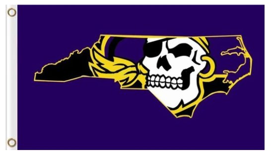 East Carolina Pirates Flag 3X5ft Banner USA Polyester with 2 Brass Grommets