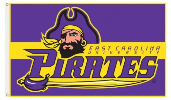 East Carolina Pirates Polyester Flag 3X5ft Banner USA Polyester with 2 Brass Grommets