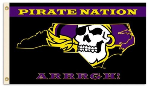 East Carolina Pirates Polyester USA Sport Flag 3X5ft Banner USA Polyester with 2 Brass Grommets