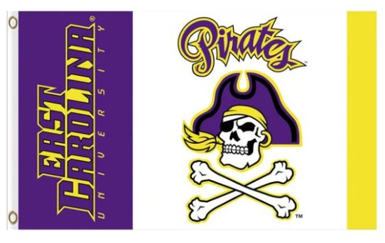 East Carolina Pirates Purple Flag 3X5ft Banner USA Polyester with 2 Brass Grommets