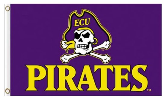 East Carolina Pirates Sport Flag 3X5ft Banner USA Polyester with 2 Brass Grommets