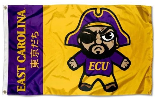 East Carolina Pirates USA Flag 3X5ft Banner USA Polyester with 2 Brass Grommets