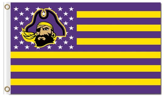East Carolina Pirates USA Sport Flag 3X5ft Banner USA Polyester with 2 Brass Grommets