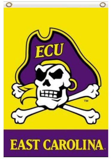 East Carolina Pirates Yellow Flag 3X5ft Banner USA Polyester with 2 Brass Grommets