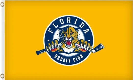 Florida Panthers Flag 3X5Ft Polyester Digital Print Banner USA