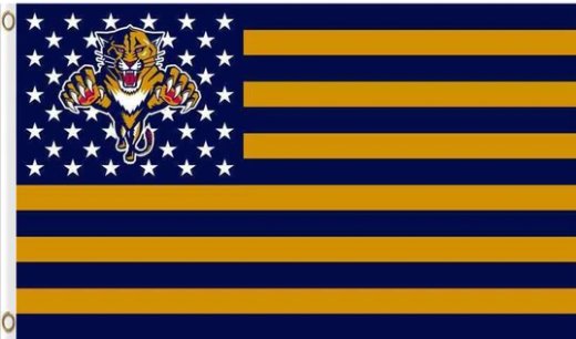 Florida Panthers Star Flag 3X5Ft Polyester Digital Print Banner USA