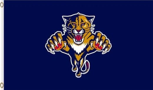 Florida Panthers Team Blue Flag 3X5Ft Polyester Digital Print Banner USA
