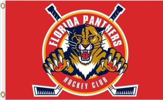 Florida Panthers Team Flag 3X5Ft Polyester Digital Print Banner USA