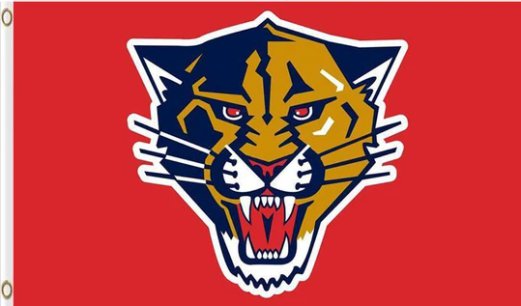 Florida Panthers Team Sport Flag 3X5Ft Polyester Digital Print Banner USA