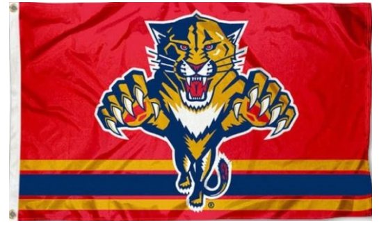 Florida Panthers US Flag 3X5Ft Polyester Digital Print Banner USA