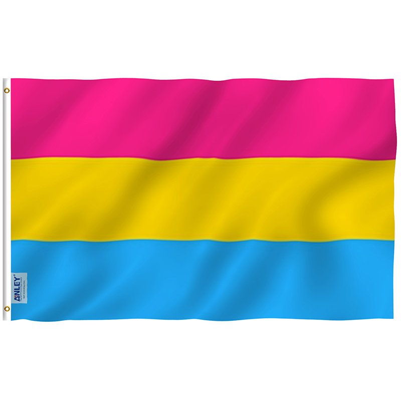 Fly Breeze Pansexual Pride Flag with Brass Grommets 3X5Ft Banner USA Polyester