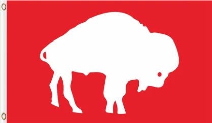 Hemlet Buffalo Bills Old Flag 3X5 Ft Polyester Banner USA 90x150cm