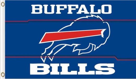 Hemlet Buffalo Flag 3X5 Ft Polyester Banner USA 90x150cm