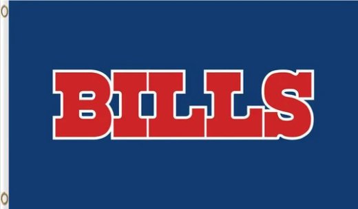 Hemlet Buffalo Team Blue Flag 3X5 Ft Polyester Banner USA 90x150cm