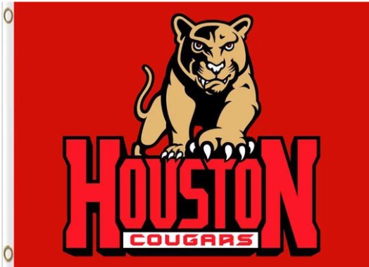 Houston Cougars Helmet Red USA Flag 3X5ft Banner Polyester with 2 Brass Grommets