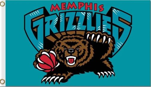 Memphis Grizzlies Flag 3X5Ft Polyester Banner USA Digital Print