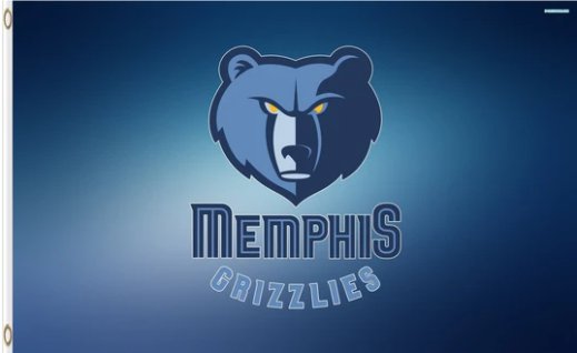 Memphis Grizzlies US Flag 3X5Ft Polyester Banner USA Digital Print