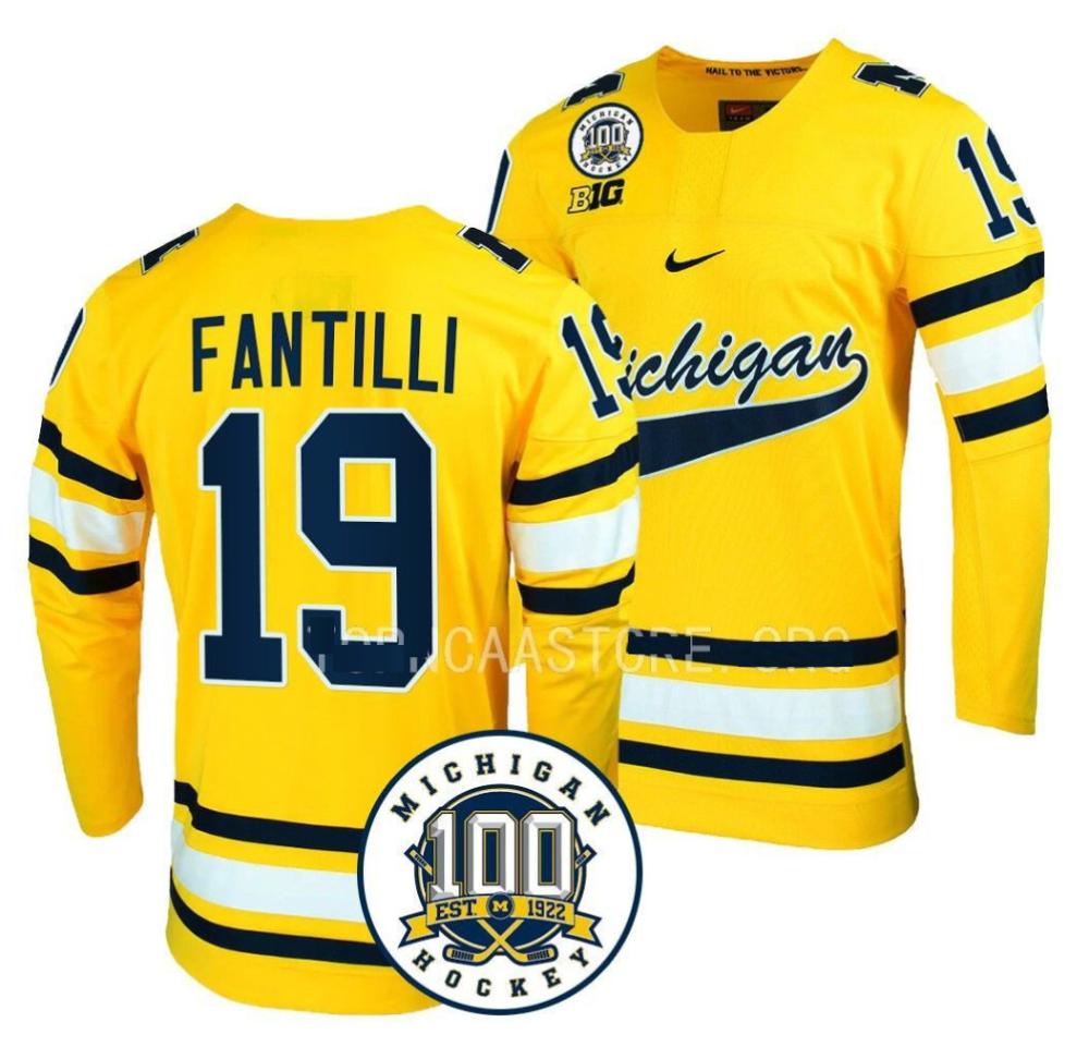 Men's Michigan Wolverines Adam Fantilli #19 Collge Hockey Stitched Gold Jersey