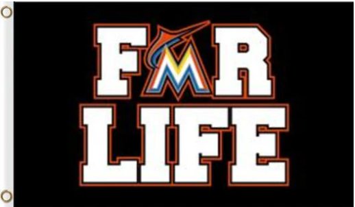 Miami Marlins For Life flag 3X5Ft Banner USA Polyester with Brass Grommets