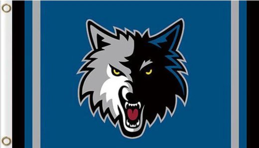 Minnesota Timberwolves Blue Flag 3X5Ft Polyester Banner USA Digital Print
