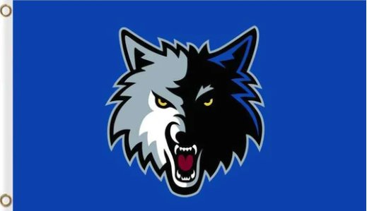 Minnesota Timberwolves Blue US Flag 3X5Ft Polyester Banner USA Digital Print