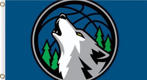 Minnesota Timberwolves Custom US Flag 3X5Ft Polyester Banner USA Digital Print