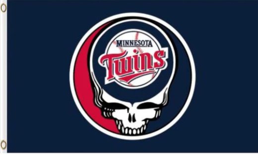 Minnesota Twins Dead Skull Flag 3X5Ft Banner USA Polyester with Brass Grommets