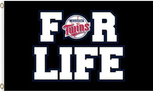 Minnesota Twins For Life Flag 3X5Ft Banner USA Polyester with Brass Grommets