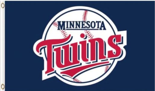 Minnesota Twins Logo Baseball Flag 3X5Ft Banner USA Polyester with Brass Grommets