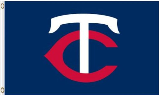 Minnesota Twins Logo Blue Flag 3X5Ft Banner USA Polyester with Brass Grommets