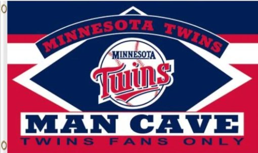 Minnesota Twins Man Cave Flag 3X5Ft Banner USA Polyester with Brass Grommets