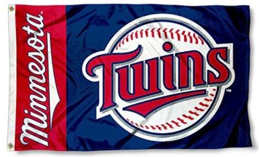 Minnesota Twins Sport Flag 3X5Ft Banner USA Polyester with Brass Grommets