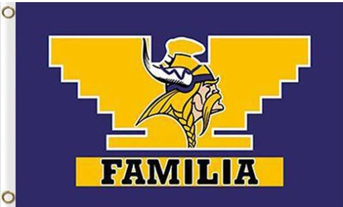 Minnesota Vikings Familia Flag 3X5 Ft Polyester Banner USA 90x150cm