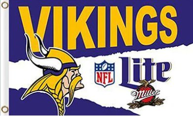 Minnesota Vikings Lite Flag 3X5 Ft Polyester Banner USA 90x150cm
