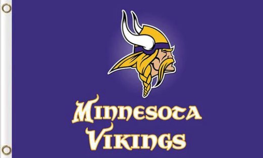 Minnesota Vikings Team Flag 3X5 Ft Polyester Banner USA 90x150cm