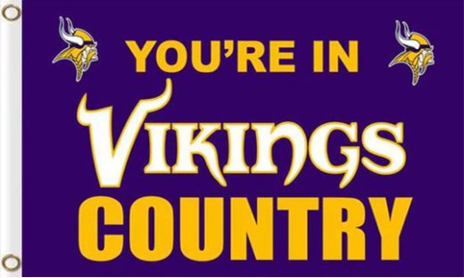 Minnesota Vikings You Are In Country Flag 3X5 Ft Polyester Banner USA 90x150cm