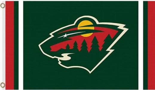 Minnesota Wild Star Custom Flag 3X5Ft Polyester Digital Print Banner USA